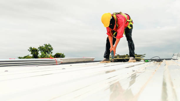 Best Sheet Metal Roofing  in Santa Rosa, TX