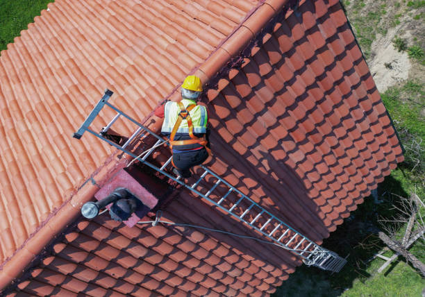 Best Roof Moss and Algae Removal  in Santa Rosa, TX