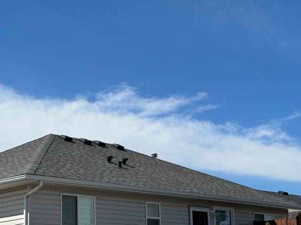 Best Roof Coating and Sealing  in Santa Rosa, TX